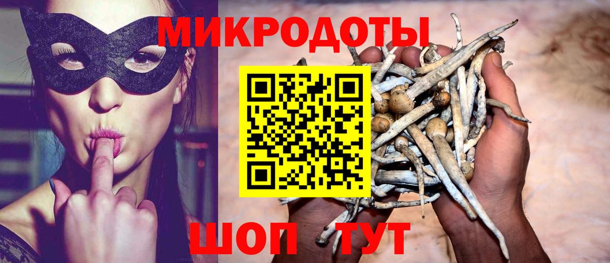 Галлюциногенные грибы Cubensis Канск