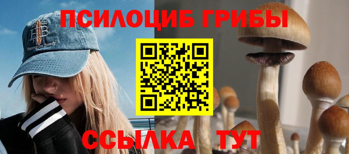 Галлюциногенные грибы мицелий  Вход с VPN  Галлюциногенные грибы мухоморы  Канск 
